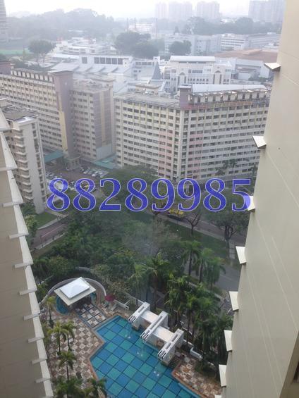 Trellis Towers (D12), Condominium #158730602